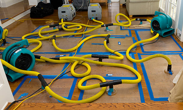 Professional Emergency Water Removal technician working in Mims, FL